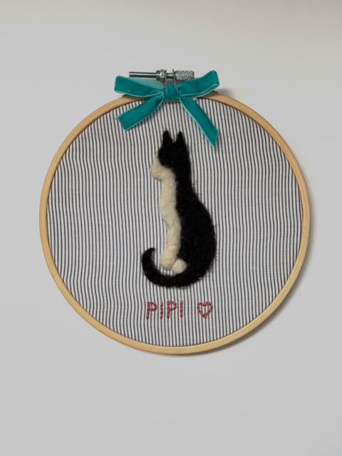 Portret mačke Pipi u obruču